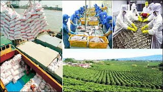 Mục tiêu xuất khẩu nông lâm thủy sản 28,5 tỷ USD năm 2014